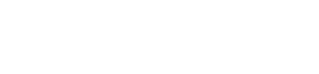 武汉百思瑞软件技术服务有限公司