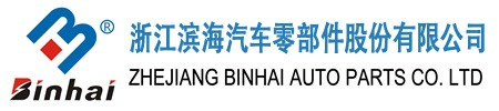 浙江滨海汽车零部件股份有限公司-变速箱配件汽配机加工零件专业制造厂家