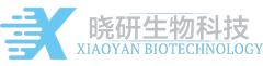 上海晓研生物科技有限公司