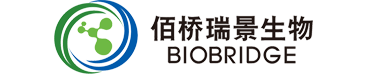 佰桥瑞景|诊断原料|品牌代理|进出口服务|抗原抗体