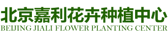 北京嘉利花卉种植中心