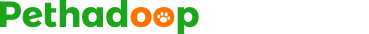 Pethadoop宠物大数据平台