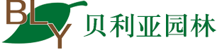塑石假山制作_水泥假山_仿真树假树_南京贝利亚园林景观工程有限公司