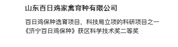 百日鸡鸡苗-山东百日鸡家禽育种有限公司