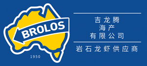 澳洲岩石龙虾 | 澳知鲜