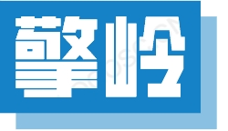 合肥擎岭ERP软件