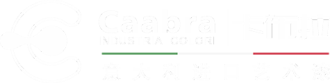 卡布拉艺术漆/卡布拉艺术漆加盟/华东地区艺术漆加盟/华中地区艺术漆加盟/华南地区艺术漆加盟/华北地区艺术漆加盟/西南地区艺术漆加盟/西北地区艺术漆加盟/进口艺术漆加盟-卡布拉艺术漆