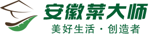 首页 - 安徽菜大师集团