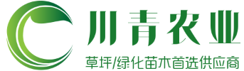 草坪-绿化真草坪草皮卷价格批发基地厂家-四川成都『川青农业』