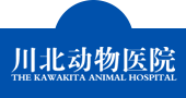  川北动物医院【官网】南充动物医院 南充宠物医院 南充24小时宠物医院