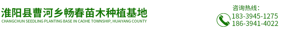 首页 - 乡畅春苗木,楸树种植基地-淮阳县曹河乡畅春苗木种植基地