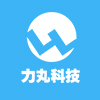 成都力丸科技有限公司