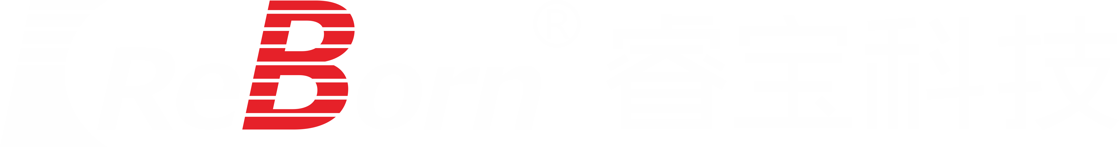 成都睿宝电子科技有限公司 - 睿宝真空计 真空计 真空变送器 真空规管 检漏仪 流量计 质谱仪