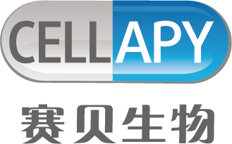 iPS细胞无血清培养基,人心肌细胞分化试剂盒,人多能干细胞培养基,心肌药物筛选,神经干细胞诱导培养试剂盒,Essential 8细胞培养基-北京赛贝生物技术有限公司
