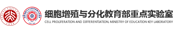 细胞增殖与分化教育部重点实验室