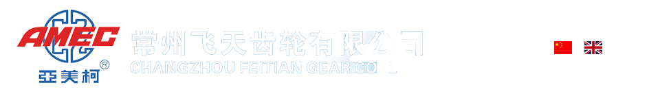 常州飞天齿轮有限公司