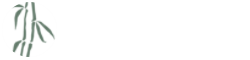 大益普洱茶_茶堂网