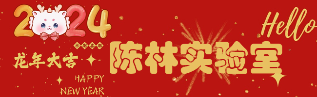 陈林实验室-企事业单位信息化服务团队及培养复合型高阶财会类人才！