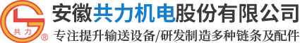 提升机链条_链轮_料斗-安徽共力机电股份有限公司