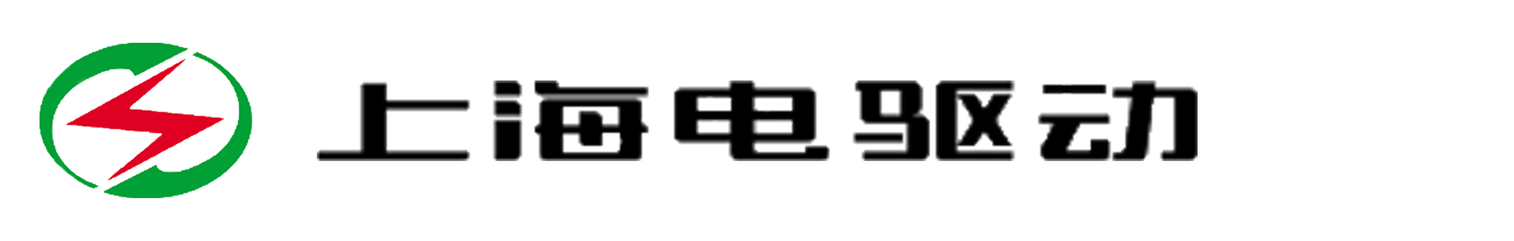 上海电驱动股份有限公司