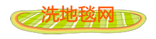 保洁_家居养护_家电清洗_家政服务-洗地毯网