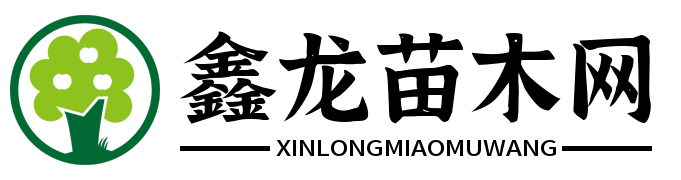 鑫龙苗木 - 农业信息笔记