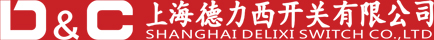 上海德力西开关有限公司