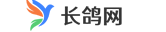 长鸽网-做网站-智能小程序-做网站公司-长鸽网,全新网络整合营销平台,免费提供自助建站、做网站、快速建站、微信小程序、支付宝小程序、抖音小程序、快手小程序、百度小程序等营销推广服务,免费提供网站模板、小程序模板、商城模板等模板资源,拥有2000万+流量入口,精选优质服务商