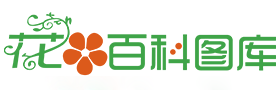 养花网-养花技巧-养花知识-养花大全