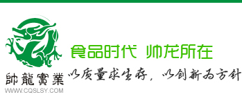 重庆帅龙实业有限公司