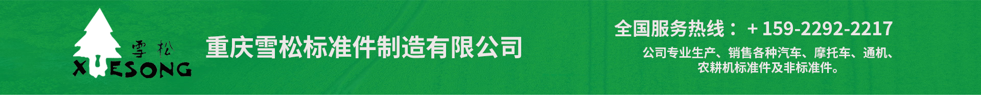 首页_重庆雪松标准件制造有限公司