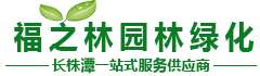 长沙绿植租摆|长沙办公室绿植|长沙花卉租赁——盆栽批发，就找福之林