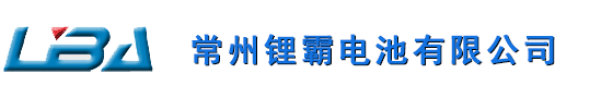 纽扣电池,扣式电池,玩具专用电池,遥控器电池-常州锂霸电池有限公司