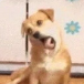 打完去健身