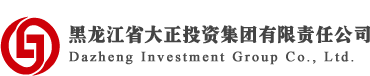 首页_黑龙江大正投资集团有限责任公司