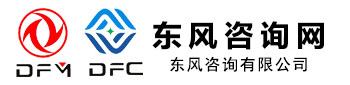 东风咨询有限公司