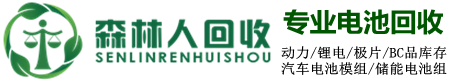 森林人电池回收-汽车电池回收，三元电池回收，磷酸铁锂电池回收，钴酸锂电池回收，电池正极负极回收，电池模组回收，锂电回收，三元电池回收公司，电池回收公司