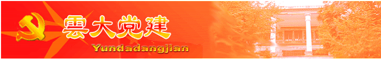云大党建