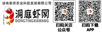 洞庭虾网-最专业的龙虾养殖服务平台