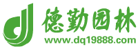 沭阳德勤园林绿化工程有限公司-美国凌霄|大花月季|爬藤月季|紫藤|欧洲月季|树状月季|红叶石楠|金森女贞|爬山虎