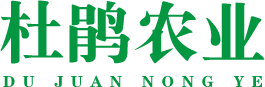 贵州杜鹃农业【官网】_杜鹃农业
