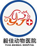 沈阳动物医院_沈阳宠物医院_沈阳动物出境体检-沈阳市毅佳动物医院