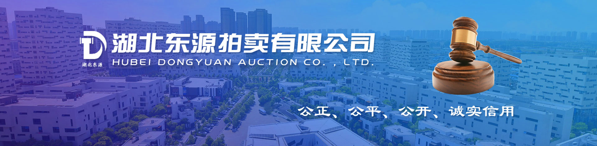 湖北东源拍卖有限公司