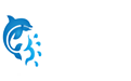 组网互联专线-物理机服务器租用「域浪科技」