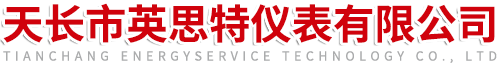 天长市英思特仪表有限公司