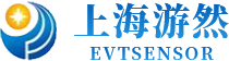 微型压力传感器|小型测力传感器|微型称重传感器|拉压力传感器|进口扭矩传感器|日本NMB压力传感器|传力Transcell-上海游然传感科技有限公司