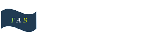 深圳市友飞杰科技有限公司,5.8G图传模块，WIFI模块 友飞杰科技,www.fab-technology.com,