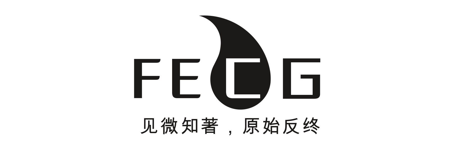 新兴污染物归趋研究-FECG