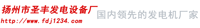 无刷发电机单机-柴油发电机组厂家-扬州市圣丰发电设备厂
