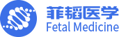 菲韬